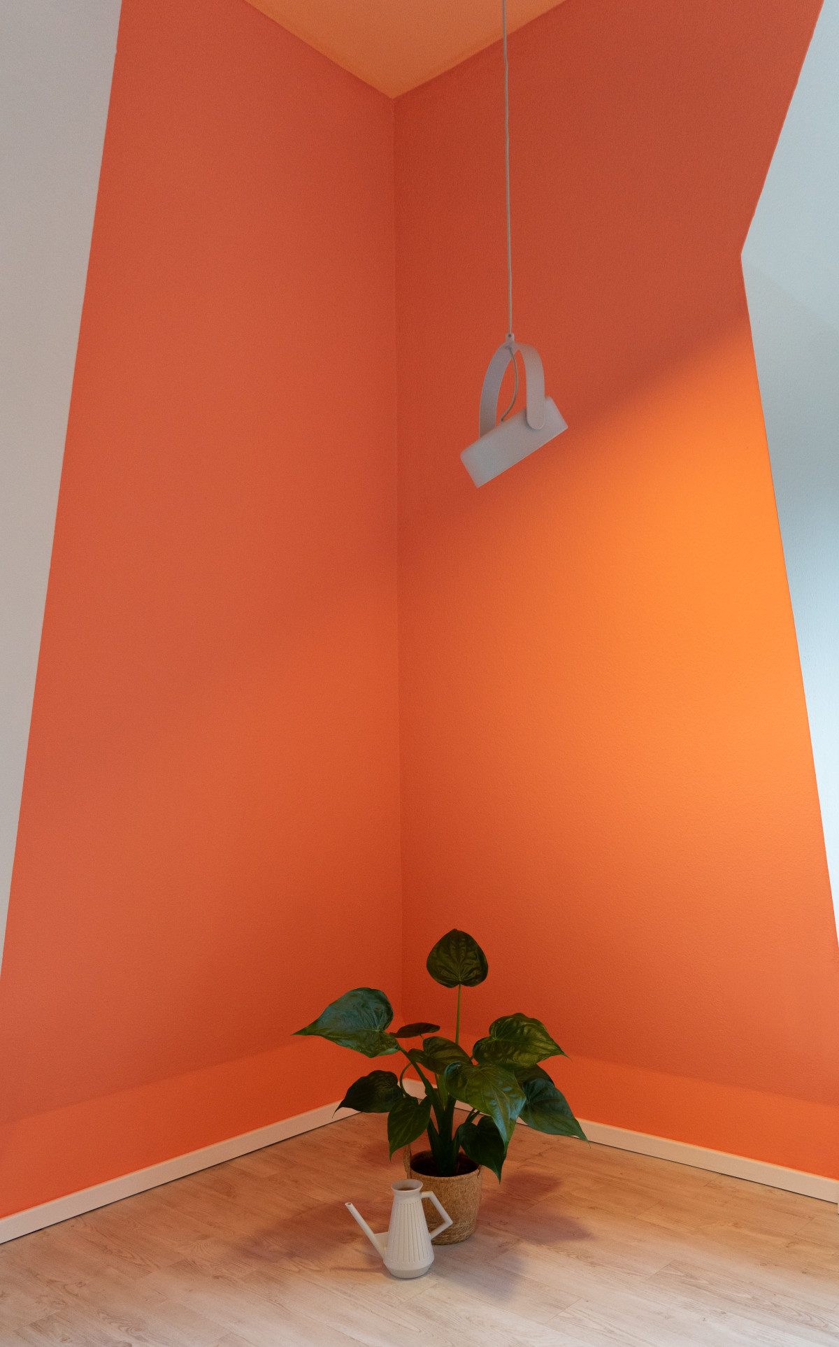 Bunte Farbecke mit Pflanze